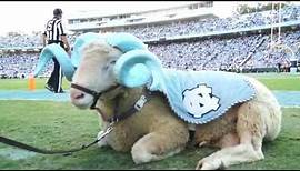 A Day in the Life | Rameses the Carolina Mascot