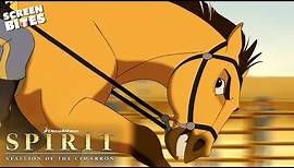 Spirit's Fight For Freedom | Spirit: Stallion of the Cimarron (2002) | Screen Bites