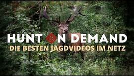 Grenzenlose Jagdfilme auf Hunt on Demand – ohne nervige Werbeunterbrechung – jetzt kostenlos testen!