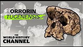 The Oldest Human Remains Ever Discovered | Search For The First Human | The World History Channel