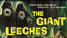 ATTACK OF THE GIANT LEECHES (1959) Classic 50's Sci-Fi Horror, Ken Clark, Yvette Vickers, Full Movie