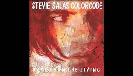 Stevie Salas Colorcode - Back From The Living (Full Album) (1995)