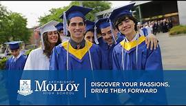 Archbishop Molloy High School: "Discover Your Passions, Drive Them Forward"