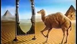 Camel Zigarettenwerbung