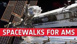 Spacewalks for AMS