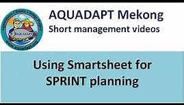 Using smartsheet for SPRINT planning