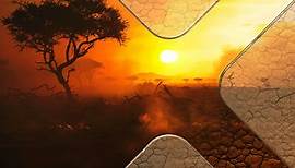 Serengeti - Wilde Geschichten aus der Savanne: Paradies in Flammen