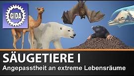 Trailer - Säugetiere I - Angepasstheit an extreme Lebensräume - Biologie - Schulfilm