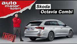 Skoda Octavia (2019): Was bietet die neue Combi-Generation? - Sitzprobe/Review | auto motor & sport