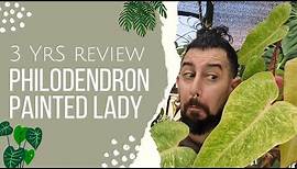 Philodendron painted lady Review | 3 Years Later | Philodendron painted lady Care and Tips
