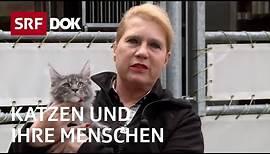 Katzenliebe in der Schweiz | Katzen und ihre Menschen | Doku | SRF Dok