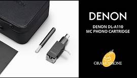 Denon DL-A110 Phono Cartridge REVIEW