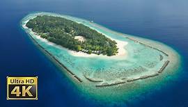 Malediven - amazing 4k video ultra hd