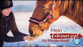 🐴 Mein Winter-Geheimrezept für Pferde-Mash ⭐😍