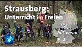 Strausberg: Unterricht im Freien | tagesthemen mittendrin