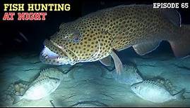 NIGHT SPEARFISHING EPISODE 65 | FISH HUNTING AT NIGHT
