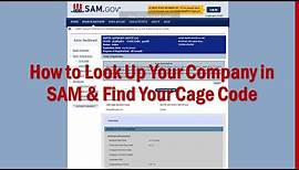 How to [Find Your Company in SAM, Find Your Cage Code and How You are Viewed in SAM.gov]