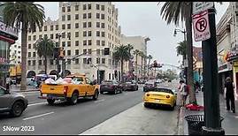 Hollywood Boulevard (II)