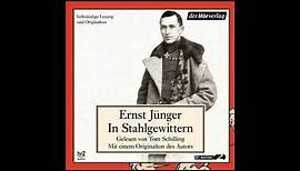 Ernst Jünger - In Stahlgewittern (Hörbuch) Teil 1