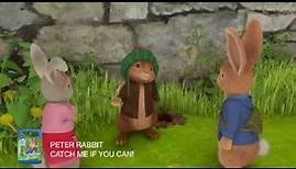 Peter Rabbit - Catch Me if You Can | DVD Preview