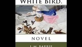 Plot summary, “The Little White Bird” by J.M. Barrie in 5 Minutes - Book Review
