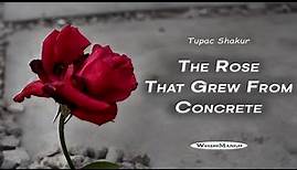 The Rose that Grew from the Concrete - Tupac (2Pac) Amaru Shakur