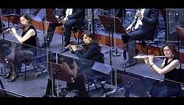 Picturesque scenes (Juan J. Colomer) || Sergio Alapont & Orchestra RTVE