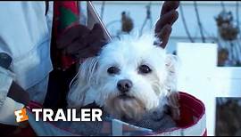 Charlie's Christmas Wish Trailer #1 (2020) | Fandango Family