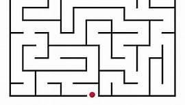 Fastest Maze Escape Challenge | Solve the Maze Puzzle in 10 seconds!