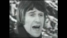 The Kinks - Sunny Afternoon - Official Video - 1966