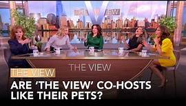 Are Pets Versions Of Their Owners? | The View