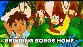 Go, Diego, Go! | Bringing The Bobos Home (S3, E3) | Paramount+