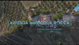 Agriturismo Azienda Rocca in Castellina in Chianti - Familie Viti