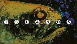 Laraaji / Roger Eno - Islands