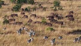 ... - Lets Go Africa: Safari und Individualreisen in Ostafrika