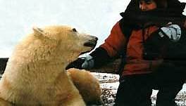 【豆瓣9.1分】伊万·麦格雷戈探访野生北极熊 The Polar Bears of Churchill, with Ewan McGregor (2001)