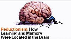 How Reductionism Uncovered Secrets of Long-term and Short-term Memory | Eric Kandel | Big Think