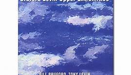 Bill Bruford, Tony Levin With David Torn, Chris Botti - Bruford Levin Upper Extremities