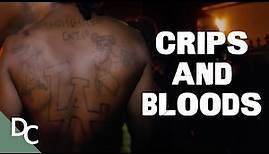 The Ongoing War Of Crips & Bloods | Crips & Bloods Made In America | Documentary Central