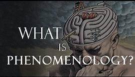 What is Phenomenology? The Philosophy of Husserl and Heidegger