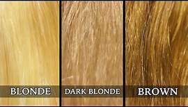 John Frieda Sheer Blonde Shampoo on Blonde, Dark Blonde and Light Brown Hair Before & After REVIEW