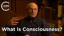 Warren Brown - What Is Consciousness?