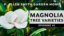 Types of Magnolia Trees & How to Care for Them | P. Allen Smith (2020)