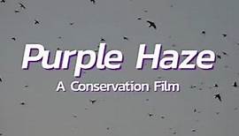 Purple Haze Premiere Trailer