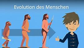 Evolution des Menschen • Urzeitmenschen, Entwicklung