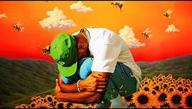 Tyler, the Creator's "Flowerboy" Explained