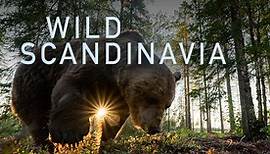 Watch Wild Scandinavia | Full Season | TVNZ