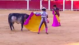 Stier tötet Torero in Spanien