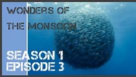 Wonders Of The Monsoon season 1 episode 3 s1e3