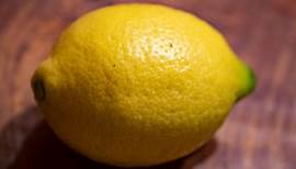 Die Ratgeber : Hausmittel statt Chemiekeule: Wundermittel Zitrone